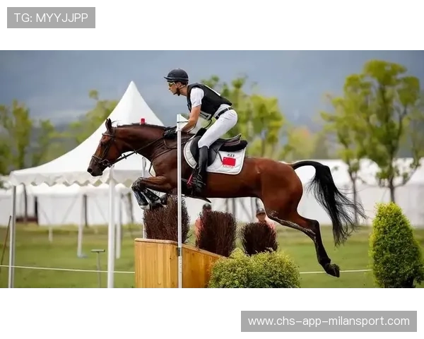 马术项目队员在障碍测试中表现出较高稳定性 马术项目队员在障碍测试中表现出较高稳定性