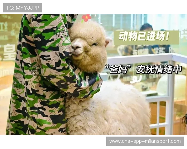 运动“萌宠助威”瞬间:场下“萌宠”成为新宠! 运动“萌宠助威”瞬间:场下“萌宠”成为新宠!